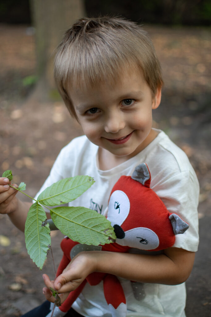 malý kluk drží šitou hračku - lišku a zelený list